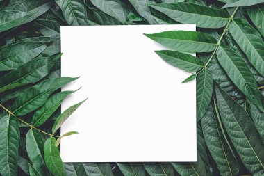 Yeşil yapraklı boş kart