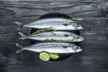 Koyu masada çiğ uskumru balığı tabağı.