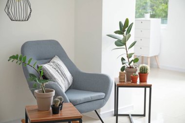 Güzel houseplants ile oda şık iç