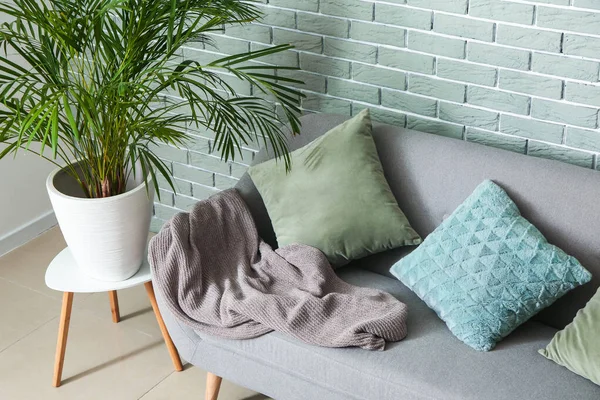 Kényelmes kanapé és szobanövény a téglafal közelében — Stock Fotó
