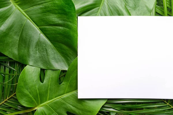 Tarjeta vacía con hojas verdes tropicales — Foto de Stock