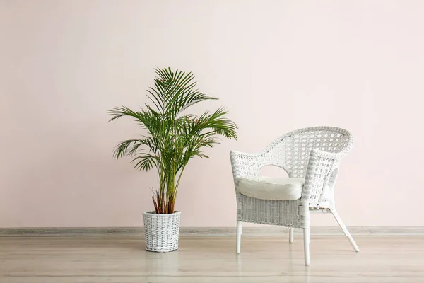 Modern armchair and houseplant near light wall — Stock Photo, Image