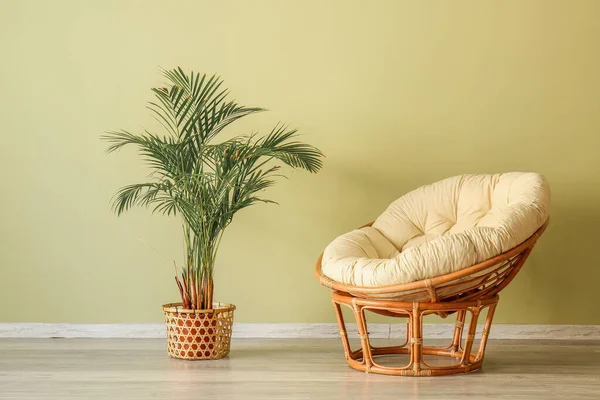 Stylish armchair with houseplant in pot near color wall in room — Stock Photo, Image