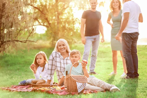 Gran familia de picnic en el parque —  Fotos de Stock