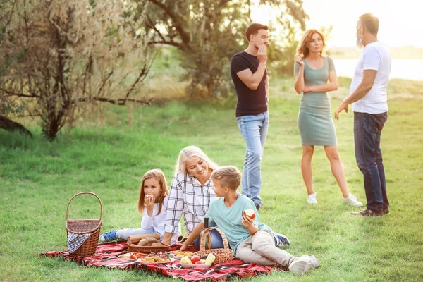 Gran familia de picnic en el parque —  Fotos de Stock