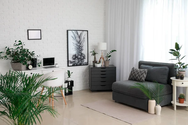 Stylish interior of room with beautiful houseplants — Stock Photo, Image