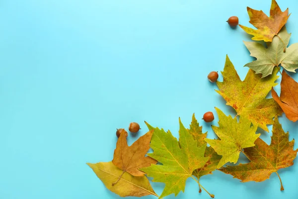 Прекрасне осіннє листя на кольоровому фоні — стокове фото