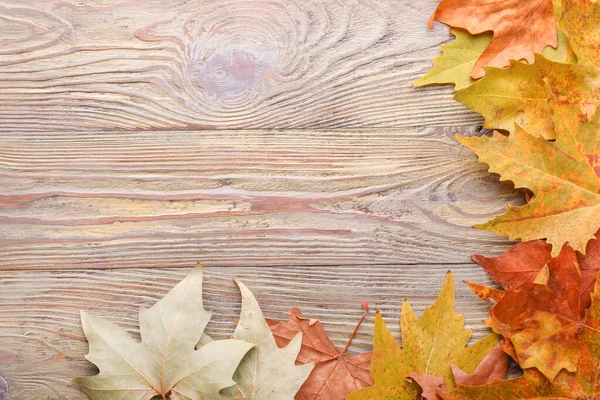 Folhas de outono diferentes no fundo de madeira — Fotografia de Stock