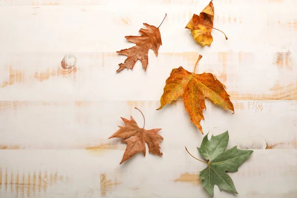 Autumn leaves on white wooden background — Stock Photo, Image