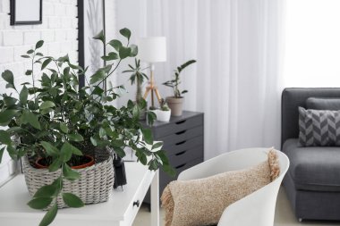 Güzel çiçekli, şık bir oda.