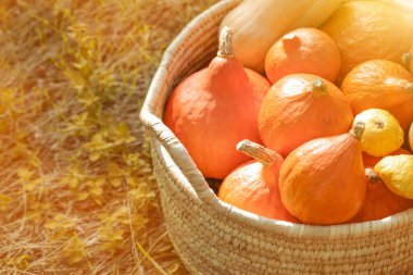 Açık havada taze kabak ve kabak dolu sepet.