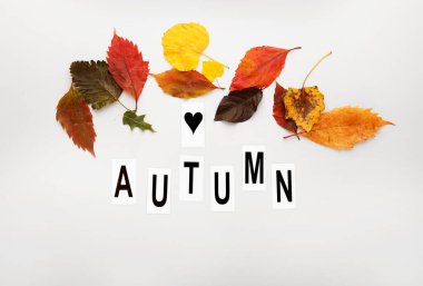 Renkli yapraklar ve kelime beyaz arkaplanda sonbahar