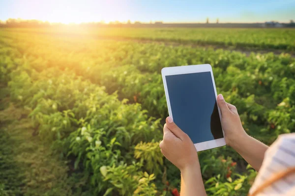 Tarlada çalışan tablet bilgisayarlı kadın çiftçi. — Stok fotoğraf