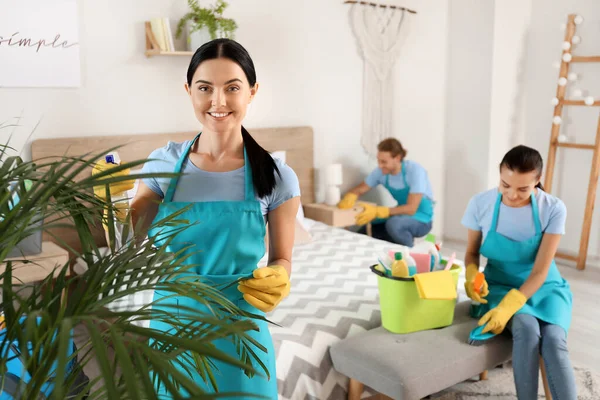 Team of janitors cleaning flat — Stock Photo, Image