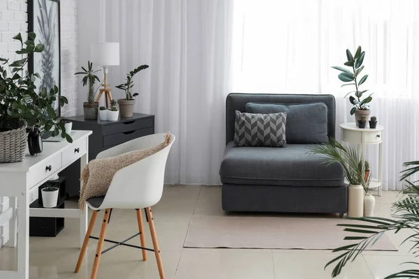 Стильный интерьер комнаты с красивыми комнатными растениями — стоковое фото