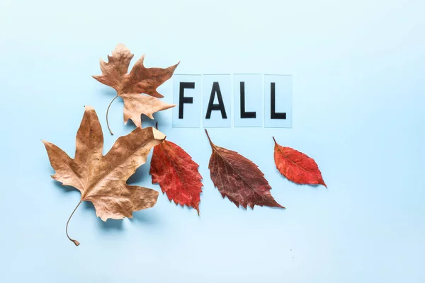 Mooie herfst bladeren en woord Val op kleur achtergrond — Stockfoto