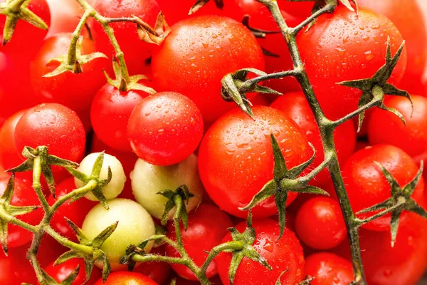 Wiele świeżych pomidorów jako tło — Zdjęcie stockowe