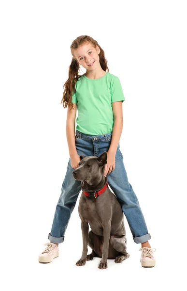 Dziewczynka z uroczym psem na białym tle — Zdjęcie stockowe