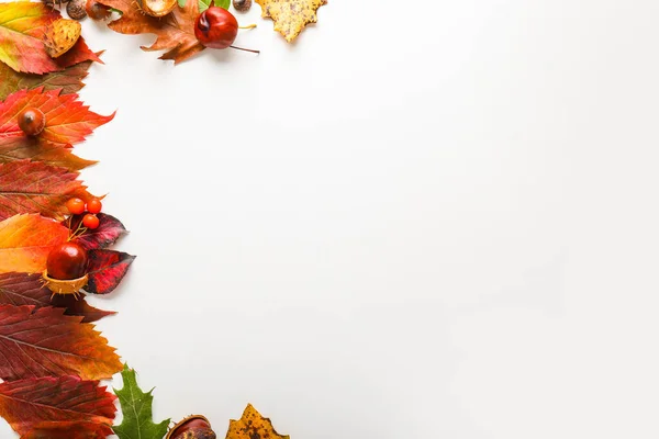 Hermosas hojas de otoño sobre fondo blanco — Foto de Stock