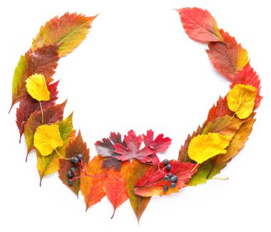 Beyaz arkaplanda güzel sonbahar yaprakları