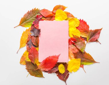 Güzel sonbahar yaprakları ve beyaz arkaplanda boş bir kart