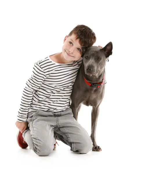 Menino com cão bonito no fundo branco — Fotografia de Stock