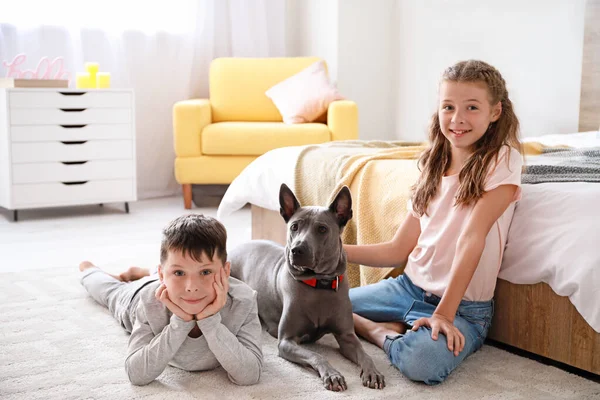 Små barn med söt hund hemma — Stockfoto