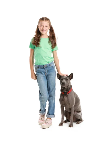 Niña con lindo perro sobre fondo blanco —  Fotos de Stock