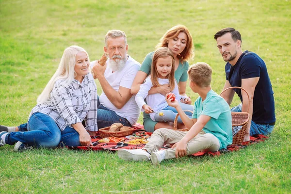 Nagy család piknik a parkban — Stock Fotó