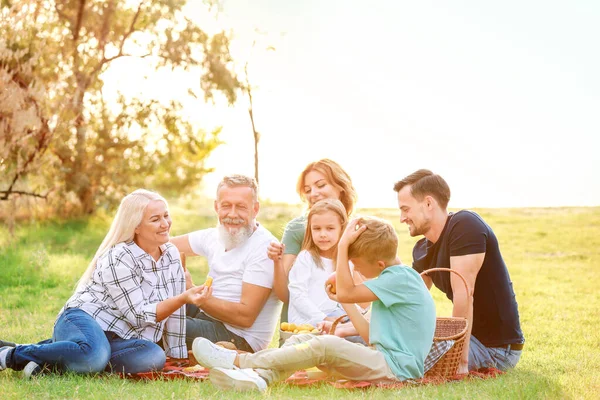 Velká rodina na pikniku v parku — Stock fotografie