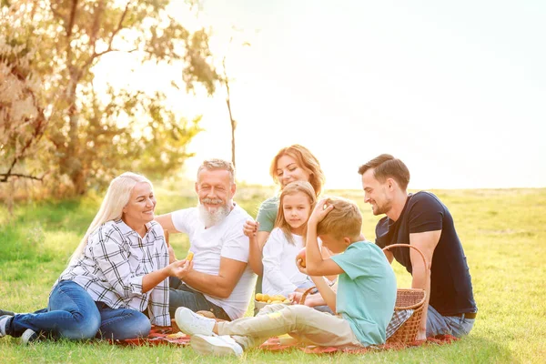 Gran familia de picnic en el parque — Foto de Stock