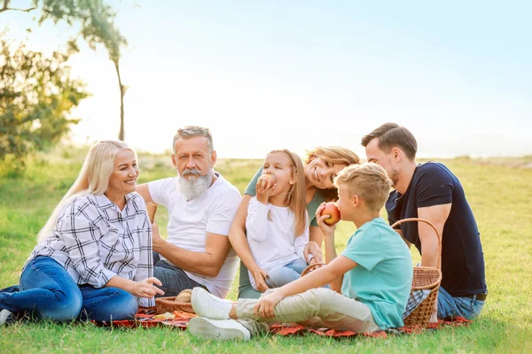 Büyük aile parkta piknik yapıyor — Stok fotoğraf