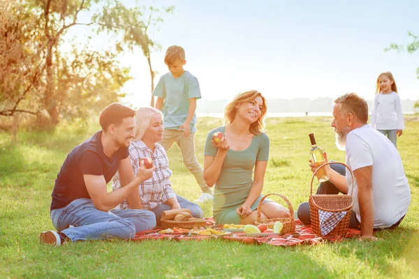 Grande família fazendo piquenique no parque — Fotografia de Stock