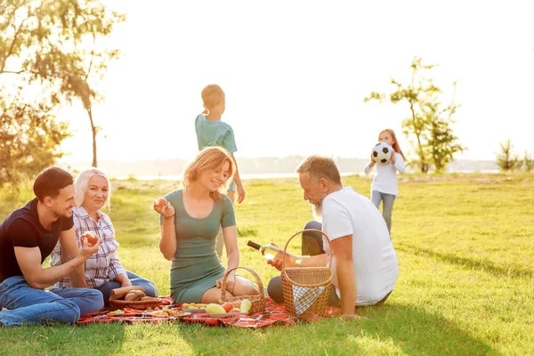 Grande família fazendo piquenique no parque — Fotografia de Stock