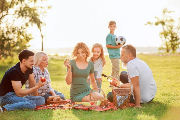 Велика сім'я має пікнік у парку — стокове фото