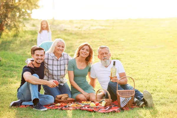 Nagy család piknik a parkban — Stock Fotó