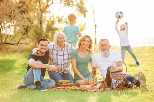 Grande famiglia avendo pic-nic nel parco — Foto Stock