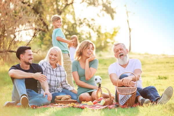 Большая семья устраивает пикник в парке — стоковое фото