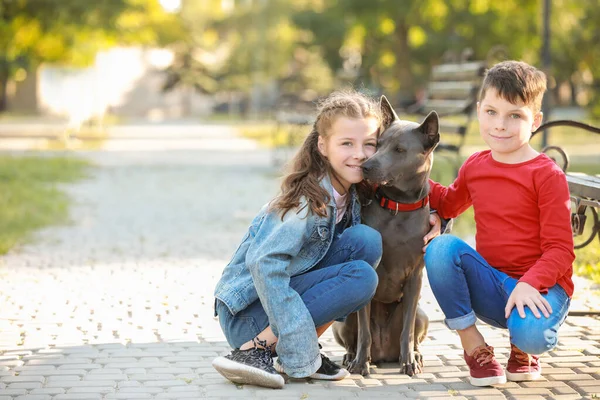 公園でかわいい犬を持つ小さな子供たち — ストック写真