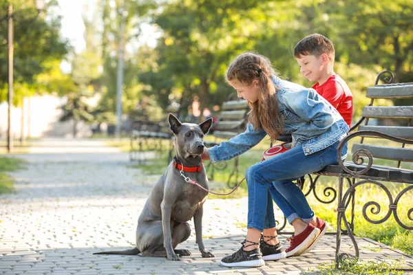 Little children with cute dog in park — Stock Photo, Image
