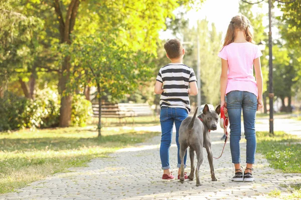 公園でかわいい犬を持つ小さな子供たち、バックビュー — ストック写真