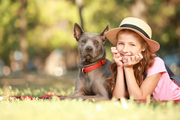 Little girl with cute dog in park — Stock Photo, Image