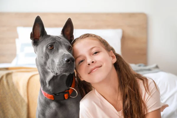 Little girl with cute dog at home — Stock Photo, Image