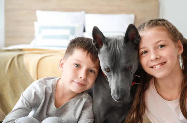 Crianças pequenas com cão bonito em casa — Fotografia de Stock