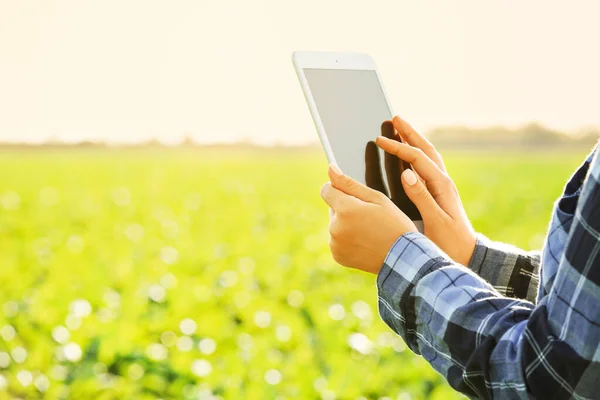 Tarlada çalışan tablet bilgisayarlı kadın çiftçi. — Stok fotoğraf