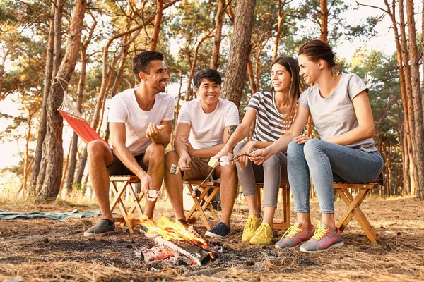 Young friends roasting marshmallows on fire at camp — Stock Photo, Image