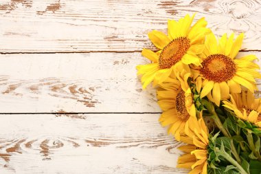 Beyaz ahşap arka plan üzerinde güzel ayçiçekleri