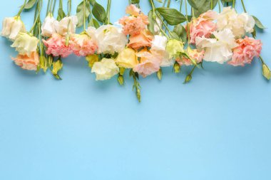 Güzel eustoma çiçek renk arka plan üzerinde