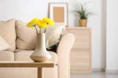 Odadaki masada vazoda duran güzel kasımpatı çiçekleri