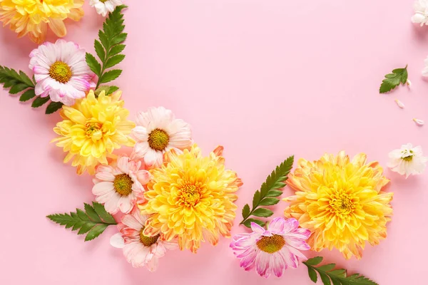 Composition with beautiful flowers on color background — Stock Photo, Image